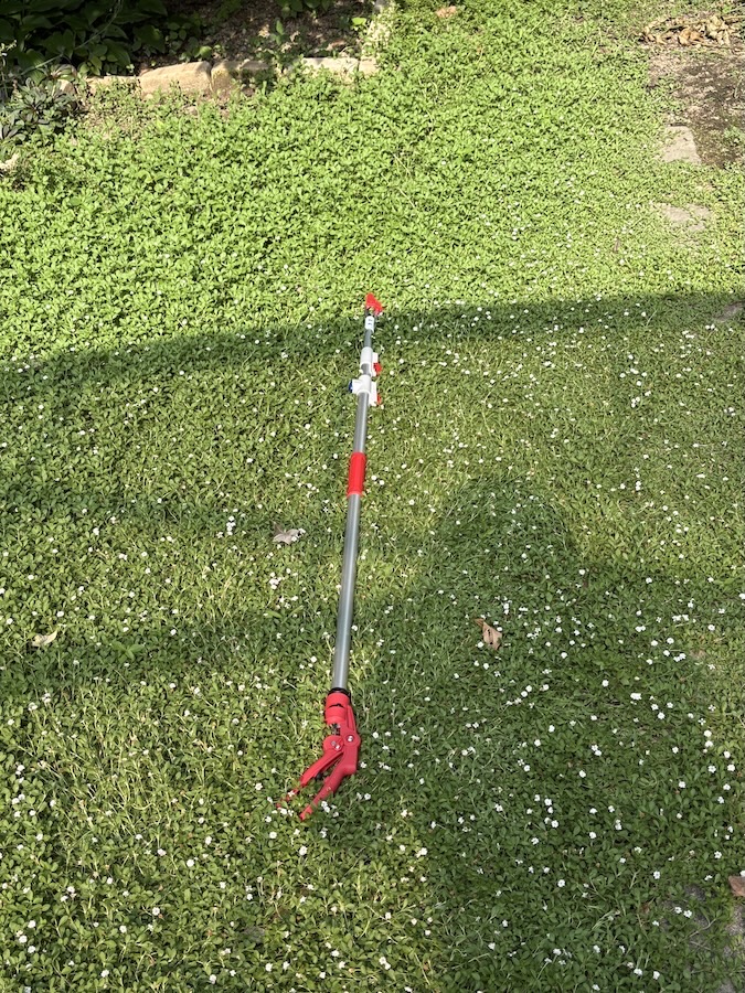 IMG 9115